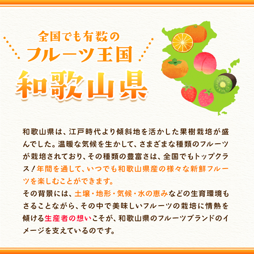 安心と信頼 はるみ約4kg 2l L Ja紀の里農業協同組合 2月中旬 3月上旬頃より順次出荷 和歌山県 紀の川市 果物 フルーツ 柑橘 みかん Fucoa Cl