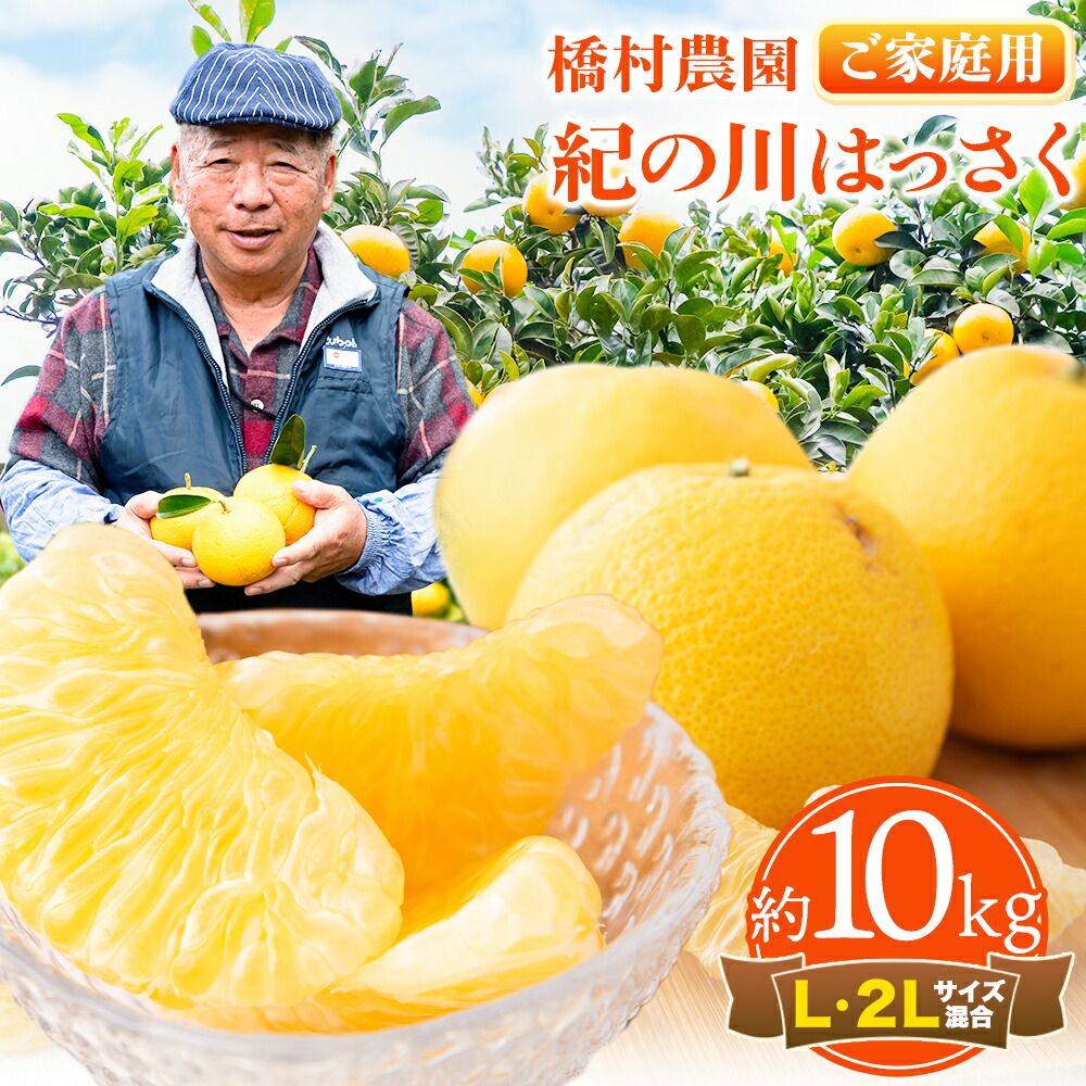 【先行予約】【ふるさと納税】【訳あり/ご家庭用】 紀の川はっさく 約10kg (L・2Lサイズ混合) 橋村農園《2025年12月中旬-2026年2月下旬出荷》ふるさと納税 和歌山県 紀の川市 八朔 はっさく ご家庭用 訳あり