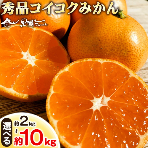 【ふるさと納税】【秀品】冬のみかん コイコク（恋い告）選べる 内容量 約2kg 約3kg 約5kg 約10kg※重量には箱の重量も含まれております※ 黒潮フルーツファーム《2025年11月下旬-12月下旬頃出荷》和歌山県 紀の川市  みかん ミカン 果物 フルーツ 柑橘