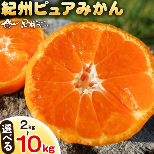 【ふるさと納税】紀州ピュアみかん100 選べる 内容量 約2kg 約3kg 約5kg 約10kg※重量には箱の重量も含まれております※ 黒潮フルーツファーム《2026年11月下旬-12月下旬頃出荷》和歌山県 紀の川市 みかん フルーツ 果物