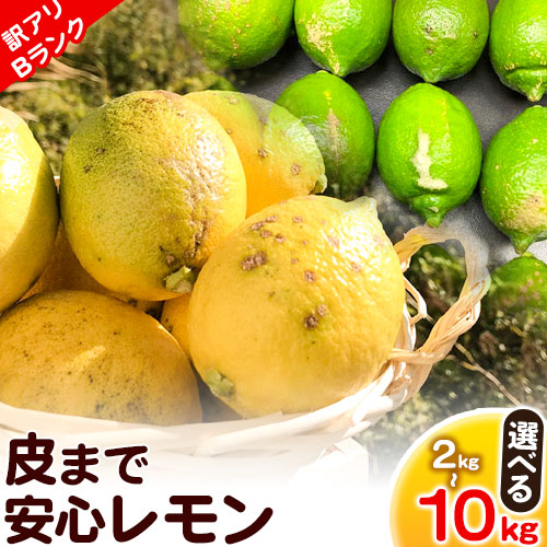【ふるさと納税】【訳ありBランク】皮まで安心レモン選べる 内容量 約2kg 約3kg 約5kg 約10kg※重量には箱の重量も含まれております※  黒潮フルーツファーム【先行予約】《2025年10月中旬-2026年4月中旬頃出荷》和歌山県 紀の川市 レモン