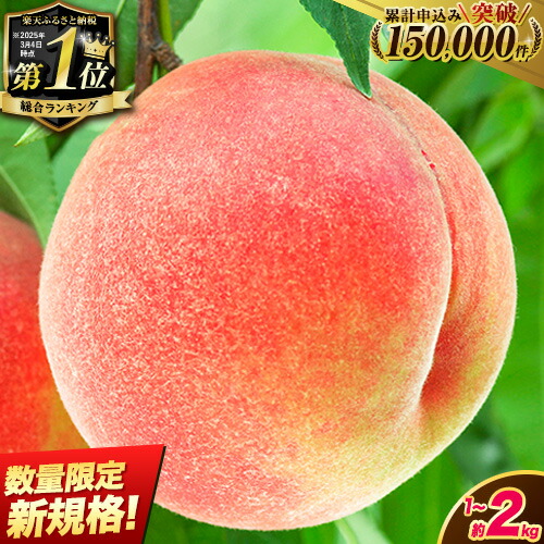 【ふるさと納税】4年連続 総合1位獲得!!選べる発送時期 容量 定期便 約2kg(6～8玉)or 食べ比べ定期便約2kg×2回（6月,7月出荷）orお試し約1kg(3~5玉) 高レビュー 先行予約《2025年6月中旬-8月中旬頃出荷》桃 もも モモ 果物 白鳳 日川白鳳  清水白桃