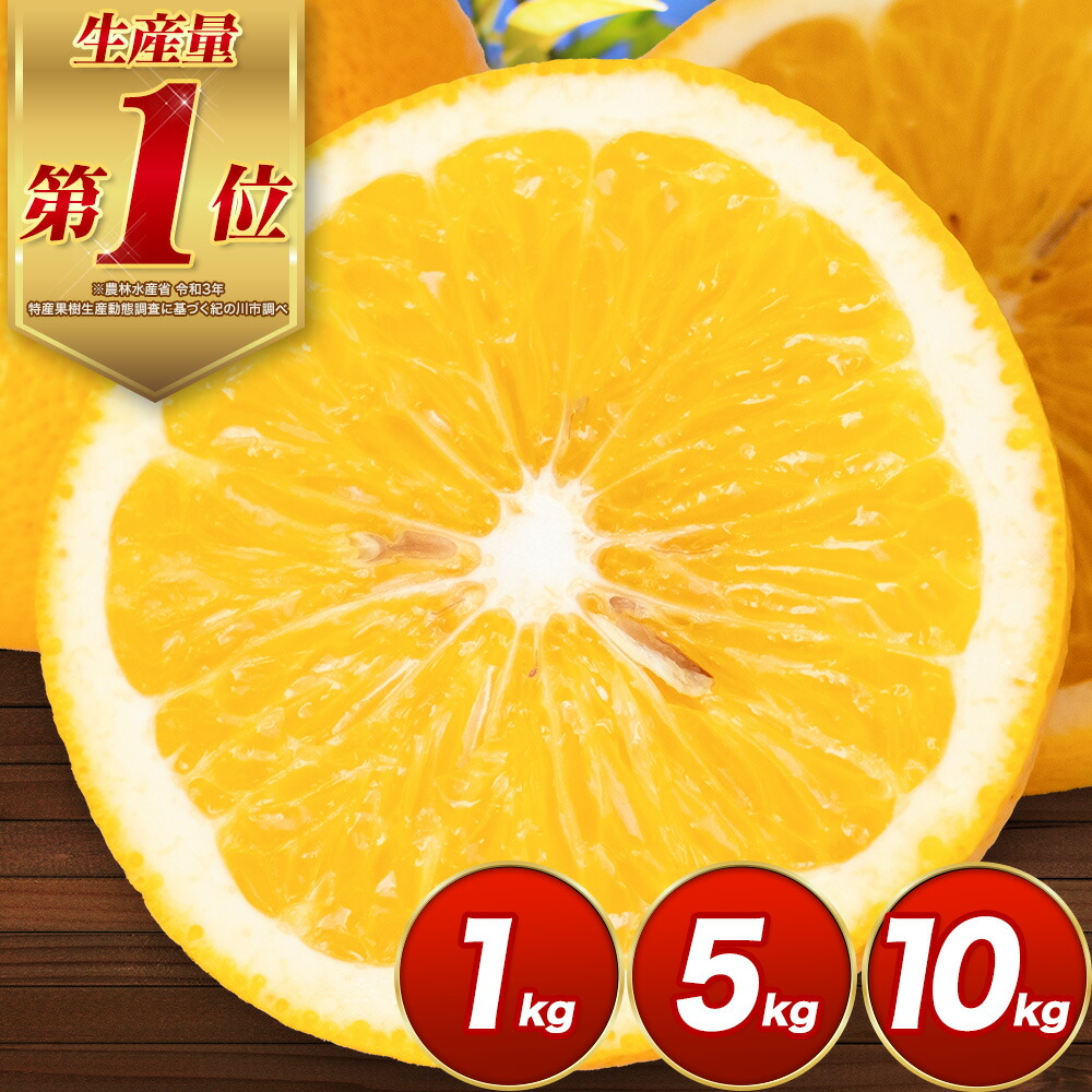 【ふるさと納税】見た目は訳あり中身は変わらぬ美味しさ ご家庭用 はっさく 約1kg 約5kg 約10kg (サイズ不選別) 早生･晩生指定不可《2027年2月上旬-3月中旬に出荷予定(土日祝除く)》紀の川市 八朔 柑橘 果物 フルーツ ご家庭用 ビタミンC ハッサク 柑橘