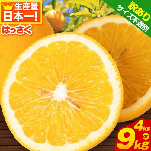 【ふるさと納税】訳あり/ご家庭用 紀の川市産 はっさく 約4kg 約9kg  (4L~Sサイズ  サイズ不選別) 早生･晩生指定不可《2月上旬-3月中旬に出荷予定(土日祝除く)》和歌山県 紀の川市 産地直送 みかん 八朔 柑橘 果物 フルーツ ご家庭用 ビタミンC
