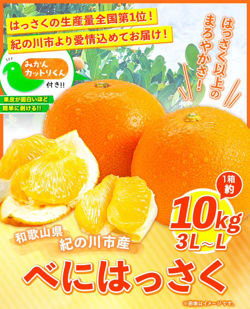 翌日発送可能】 和歌山県紀の川市 紅八朔 べにはっさく 約10kg《2023年3月上旬-3月末頃より順次出荷》産地直送 みかん 柑橘 果物 フルーツ  fucoa.cl