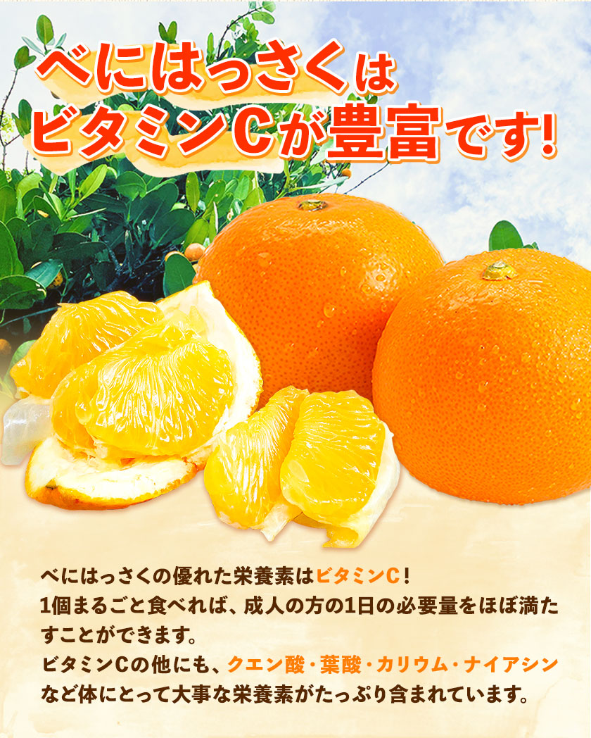 翌日発送可能】 和歌山県紀の川市 紅八朔 べにはっさく 約10kg《2023年3月上旬-3月末頃より順次出荷》産地直送 みかん 柑橘 果物 フルーツ  fucoa.cl