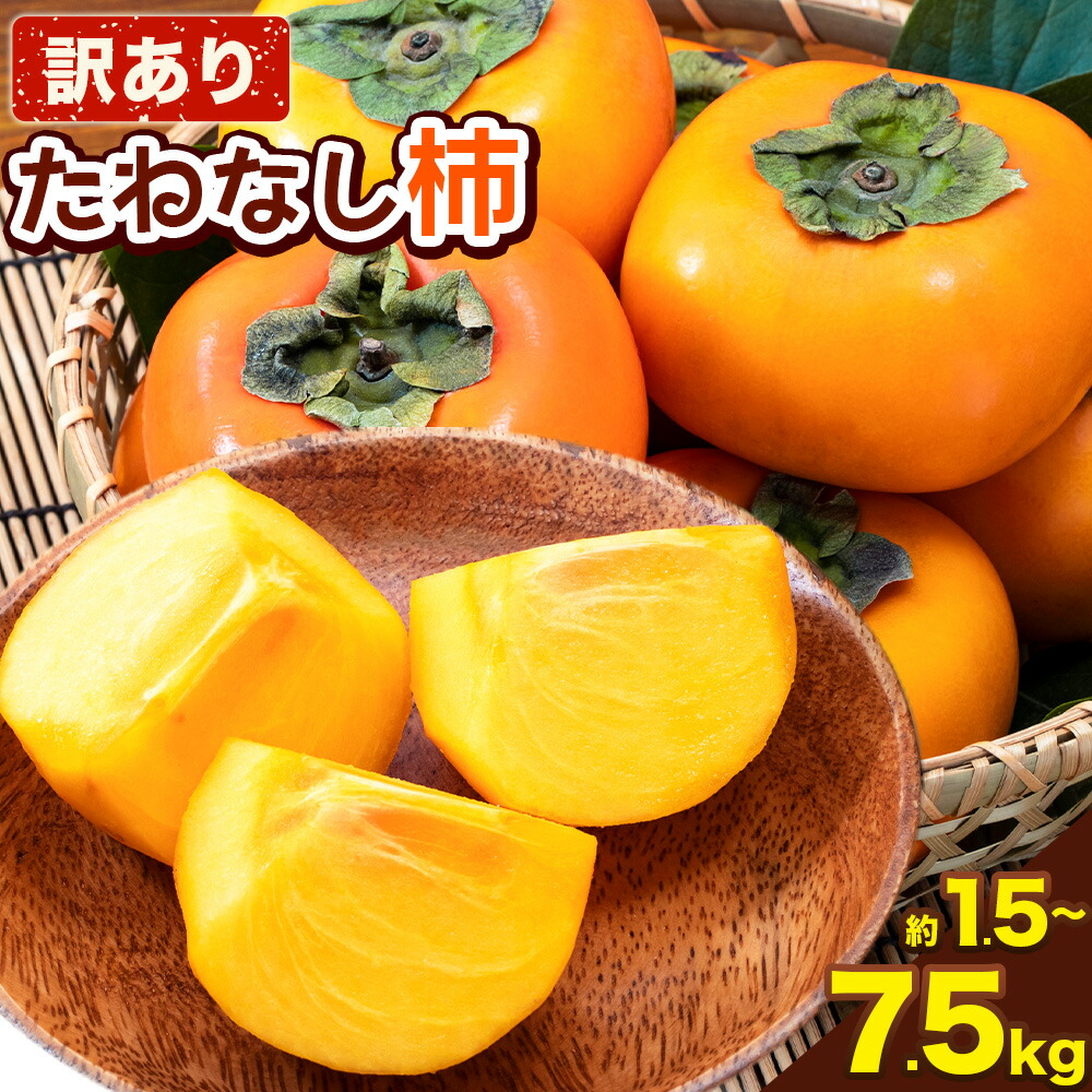 【ふるさと納税】【ご家庭用/訳あり】たねなし柿 選べる容量 約1.5kg 約4kg 約7.5kg《2026年9月中旬-11月上旬頃より出荷予定》 和歌山県 紀の川市 柿 カキ かき ジューシー フルーツ ご家庭用 種無し柿 果物 フルーツ お試し 秋の味覚 選べる 容量 刀根早生柿 平核無柿