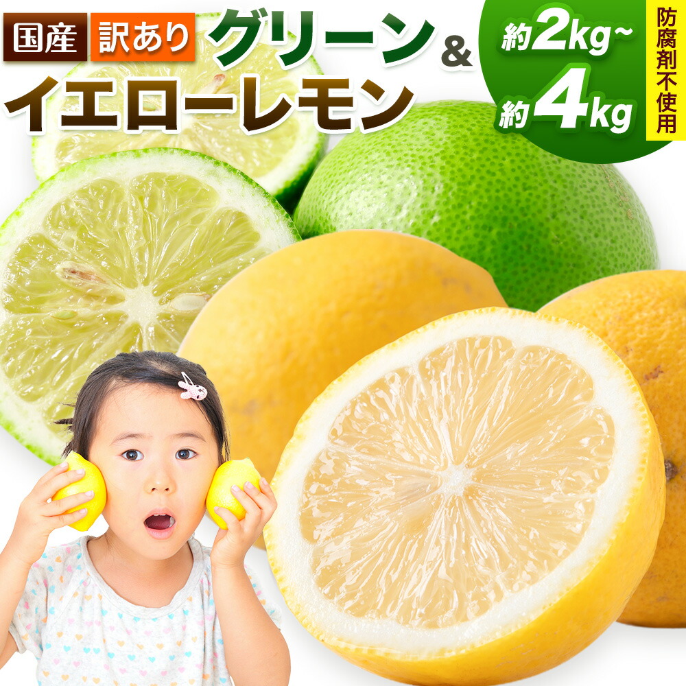 【ふるさと納税】\生産者応援企画！/訳あり 国産レモン 選べる 約2kg 約4kg 《10月上旬-1月下旬頃出荷》産地直送 レモン 檸檬 グリーンレモン イエローレモン 防腐剤不使用