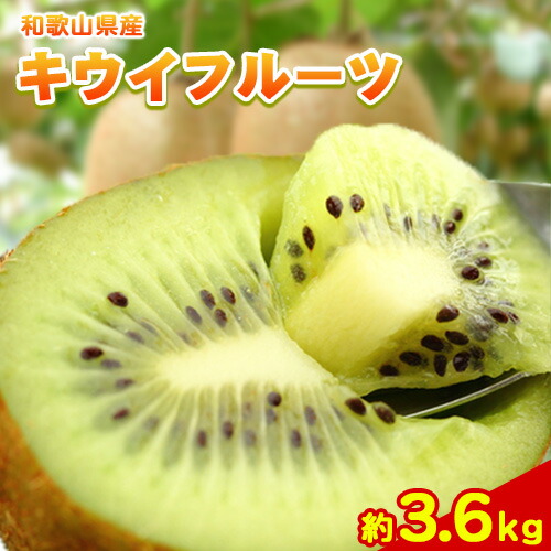 【先行予約】【ふるさと納税】和歌山県紀の川市産キウイフルーツ約3.6kg(サイズおまかせ)・秀品 紀の川市厳選館 《2025年11月下旬-2026年4月中旬頃出荷予定》 和歌山県 紀の川市 果物 フルーツ キウイ
