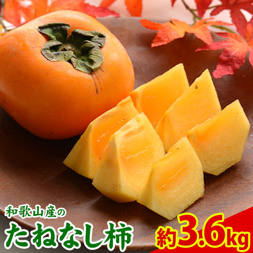 【ふるさと納税】和歌山産のたねなし柿 約3.6kg 秀品《2025年10月上旬-11月末頃より出荷予定》 和歌山県 紀の川市 紀の川市厳選館 柿 カキ かき ジューシー フルーツ 秋の味覚 刃根早生 平核無柿　紀の川柿
