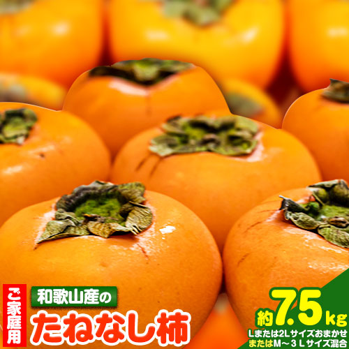 【ふるさと納税】【ご家庭用】和歌山産のたねなし柿約7.5kg1箱約7.5kgM～3Lサイズ【サイズお任せ】(個数目安:28玉～40玉)《2025年10月上旬-11月末頃より出荷予定》 和歌山県 紀の川市 紀の川市厳選館 柿 カキ かき ジューシー フルーツ 秋の味覚 刃根早生 平核無柿