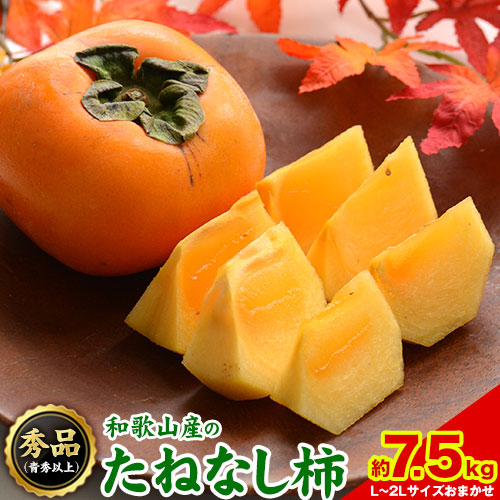 【ふるさと納税】【先行予約】和歌山産のたねなし柿約7.5kg L~2Lサイズおまかせ 32～36玉【サイズお任せ/秀品】青秀以上《2026年10月上旬-11月上旬出荷予定》 和歌山県 紀の川市 紀の川市厳選館 柿 カキ かき ジューシー フルーツ 秋の味覚 刃根早生 平核無柿｜和歌山県紀の川市
