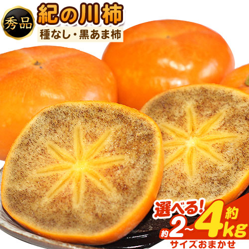 【先行予約】【ふるさと納税】秀品 柿 紀の川柿 選べる内容量 約2kg 約4kg (種なし・黒あま柿) サイズおまかせ 紀の川市厳選館 《2025年10月上旬-11月末頃出荷》和歌山県 紀の川市 柿 カキ かき ジューシー フルーツ