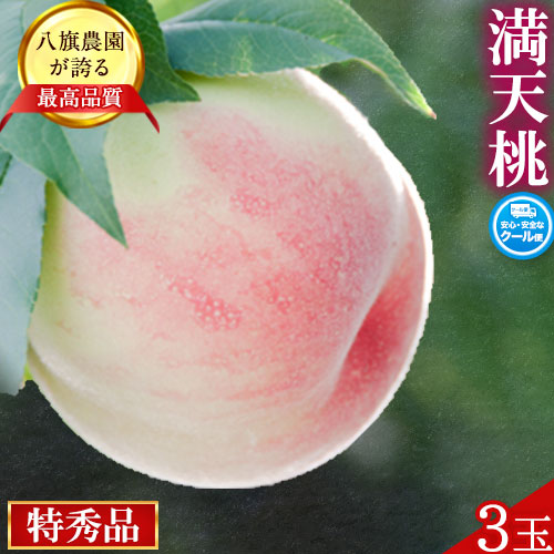 【ふるさと納税】満天桃 3玉(5Lサイズ以上) 糖度12度以上 特秀品 八旗農園《2025年7月下旬-8月上頃出荷》 和歌山県 紀の川市 桃山町 もも モモ 果物 フルーツ