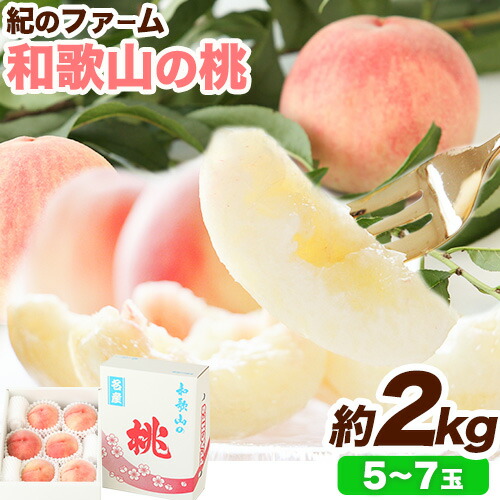 【ふるさと納税】【贈答用/熨斗非対応】和歌山の桃 2kg 紀のファーム 《2025年6月上旬-8月中旬頃出荷》 和歌山県 紀の川市 モモ 桃 もも 果物 くだもの フルーツ 送料無料 化粧箱入