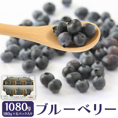 【ふるさと納税】ブルーベリー 1080g (180g×6パック入り) 紀のファーム株式会社 《2025年5月中旬-8月中旬頃出荷》 和歌山県 紀の川市