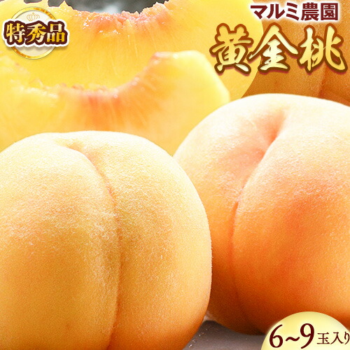 【ふるさと納税】【予約受付】「あら川の桃」黄金桃  特秀品約2kg （6～9個入） マルミ農園 《2025年7月中旬-8月末頃より出荷》 和歌山県 紀の川市