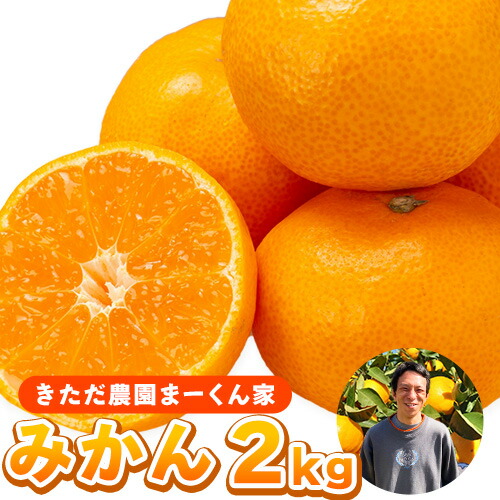 【ふるさと納税】まーくん家のみかん 2kg 《11月中旬-12月中旬頃出荷》 和歌山県 紀の川市 柑橘  きただ農園まーくん家  化学肥料・除草剤不使用