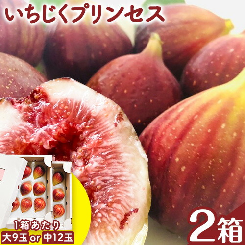 【ふるさと納税】いちじくプリンセス 2箱 ロハス農園《8月上旬-11月末の間で出荷》和歌山県 紀の川市 無花果 イチジク【離島配送不可】1箱あたり　大9玉 もしくは 中12玉