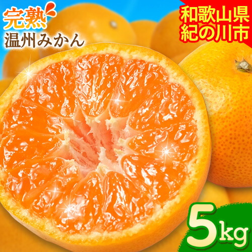 【ふるさと納税】【先行予約】完熟 温州みかん 約5kg (45~55玉) こだまファーム《2026年10月中旬-2027年2月中旬頃出荷》 和歌山県 紀の川市 みかん ミカン 果物 フルーツ｜和歌山県紀の川市 8,520円