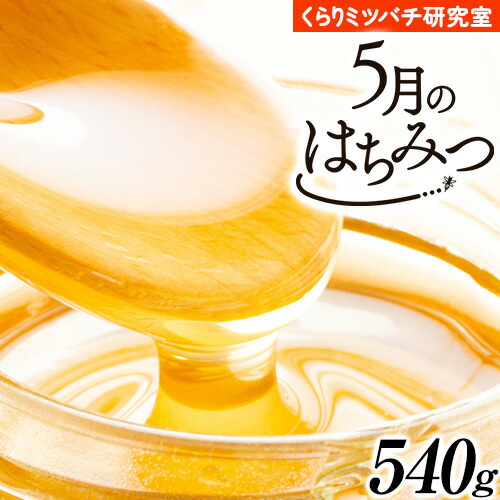 【ふるさと納税】5月のはちみつ 540g KURARI くらりミツバチ研究室《90日以内に出荷予定(土日祝除く)》和歌山県 紀の川市 蜂蜜 ハチミツ 非加熱 純正生はちみつ トースト ヨーグルト