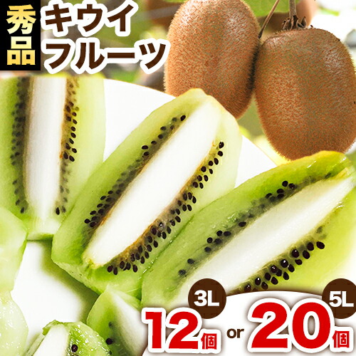 【ふるさと納税】【2026年出荷 先行予約】秀品 紀の川市産 キウイフルーツ ヘイワード 選べる 12個入 3Lサイズ or 20個入り 5Lサイズ 1玉180g以上 和田果樹園 《2026年1月上旬-3月上旬頃出荷》 和歌山県 紀の川市 キウイ キウイフルーツ ヘイワード 果物 フルーツ 送料無料