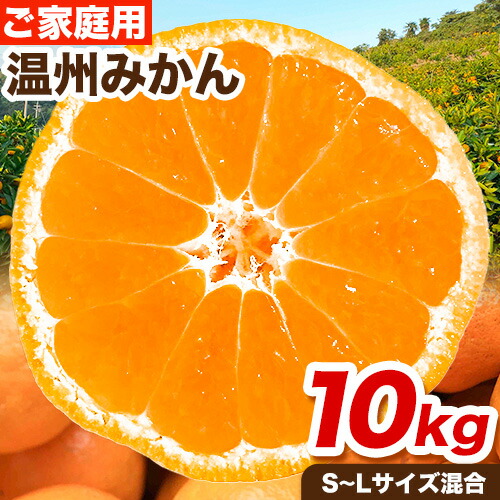 【ふるさと納税】ご家庭用 温州みかん 10kg (S～Lサイズ混合) 和田果樹園【先行予約】《2025年11月上旬-2026年2月上旬頃出荷》 和歌山県 紀の川市 みかん ミカン 果物 フルーツ 温州みかん ご家庭用 送料無料