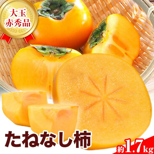 【ふるさと納税】赤秀品 種無し柿(刀根早生)約1.7kg (6玉) きよ農園《2026年9月末-10月末頃出荷》 柿 かき カキ 刀根早生 とねわせ フルーツ 果物 スイーツ 送料無料 7,300円