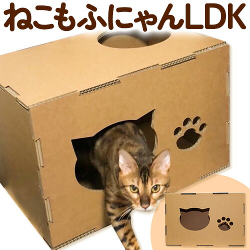 【ふるさと納税】ねこもふにゃんLDK  濱田紙売りわたす株式会社 猫 猫《90日以内にさし出し予定を組む(週末祝除く)》 和歌山県 紀の川市 愛玩動物装置 段ボール ダンボール
