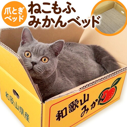 【ふるさと納税】爪とぎ ねこもふみかんベッド 濱田紙販売株式会社 猫 ネコ ツメとぎ 《90日以内に出荷予定(土日祝除く)》 和歌山県 紀の川市 ペット用品 段ボール ダンボール デザイン 蜜柑