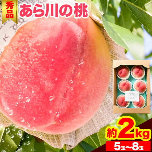 【ふるさと納税】先行予約 秀品 あら川の桃  約2kg (5～8玉) 旬の品種をお届け！ もも WAT農園《2025年6月中旬-8月下旬頃出荷》  和歌山県 紀の川市 モモ フルーツ 旬の桃 桃山白鳳 白鳳 川中島白桃