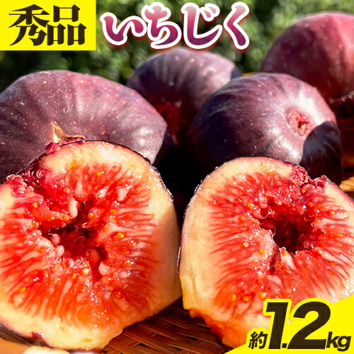 【ふるさと納税】【先行予約】紀の川産 いちじく 秀品 約1.2kg 約300g×4パック WAT農園《2025年8月中旬-11月中旬頃出荷》  和歌山県 紀の川市 イチジク 無花果 フルーツ 果物