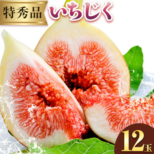 【ふるさと納税】【先行予約】紀の川産 いちじく 特秀品 12玉 WAT農園《2025年8月中旬-11月中旬頃出荷》  和歌山県 紀の川市 イチジク 無花果 フルーツ 果物