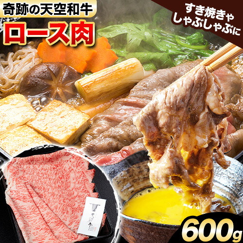 【ふるさと納税】熊野牛 紀の川天空和牛 ロース すき焼き しゃぶしゃぶ 用 約600g 有限会社松牛 《30日以内に発送予定(土日祝除く)》 和歌山県 紀の川市 黒毛和牛 牛 牛肉｜和歌山県紀の川市