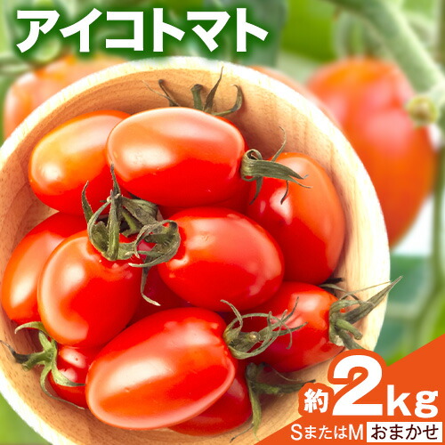 【ふるさと納税】和歌山産 ミニトマト アイコトマト 約2kg SまたはMサイズ サイズおまかせ 厳選館 【配送不可地域あり】《2026年1月上旬-2月中旬頃出荷》 和歌山県 紀の川市 トマト とまと アイコトマト 送料無料