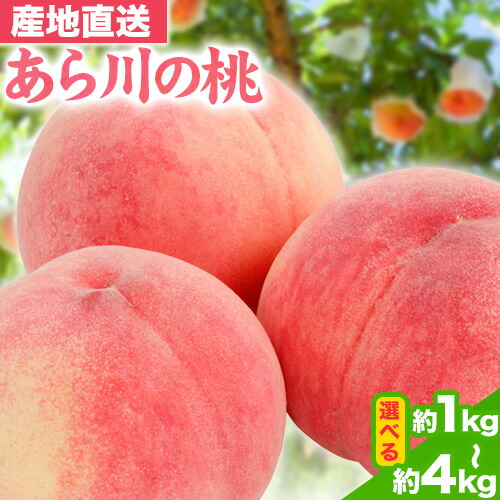 【ふるさと納税】【2024年分先行予約】あら川の桃 選べる 約1kg 約2kg 約4kg やまよし農園《2025年6月下旬-8月下旬頃より発送予定》 和歌山県 紀の川市 桃 もも フルーツ 果物 送料無料 和歌山県産