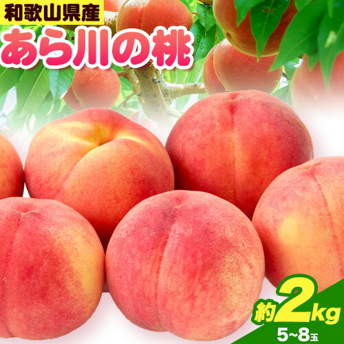 【ふるさと納税】【2025年分先行予約】桃 もも あら川の桃 和歌山県産  約2kg 5-8玉入り 《2025年6月中旬-8月中旬頃出荷》 和歌山県 紀の川市 果物 フルーツ 和歌山 紀の川 あらかわ 白鳳 日川白鳳 清水白桃 川中島白桃 なつっこ