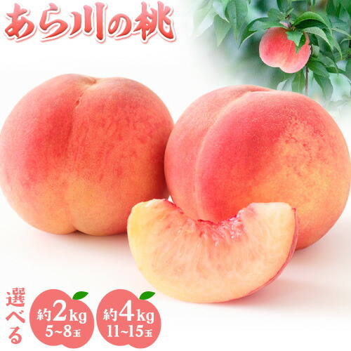 【ふるさと納税】【先行予約】桃山産 あら川の桃 選べる 約2kg(5～8玉) 約4kg(11～15玉) 千田農園《2025年6月中旬-8月末頃出荷(土日祝除く)》 和歌山県 紀の川市 もも 桃 モモ フルーツ 果物 送料無料 和歌山県産