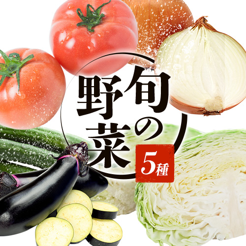 旬の野菜5種