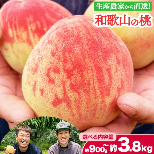 【ふるさと納税】和歌山県産の桃 選べる内容量 約900g (3玉入り) 約1.8kg (5～8玉入り) 約3.8kg (10～18玉入り) GREEN JUNCTION株式会社《2025年6月中旬-2025年8月末頃出荷》和歌山県 紀の川市 桃 果物 果実 フルーツ 自然栽培 送料無料