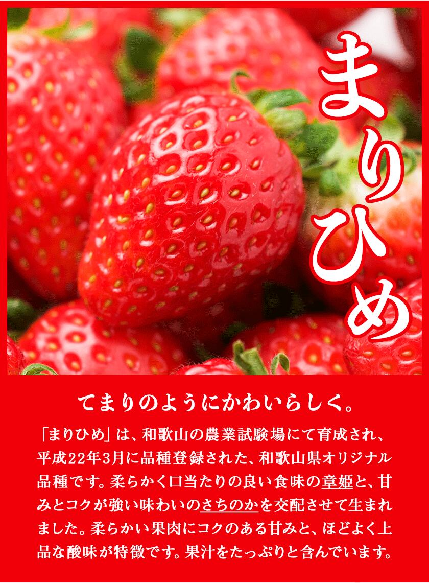 市場 ふるさと納税 株式会社ふるーつふぁーむわかやま まりひめ苺 和歌山県産 6粒-15粒 イチゴ いちご 高級