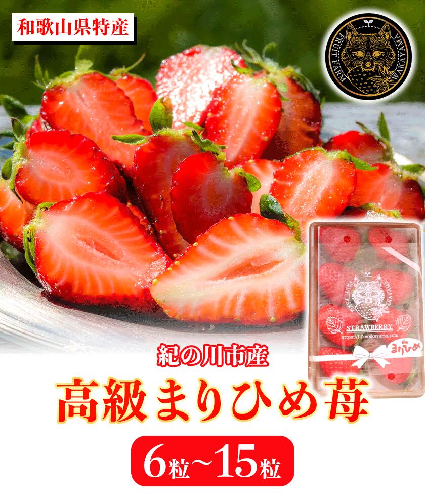 市場 ふるさと納税 株式会社ふるーつふぁーむわかやま まりひめ苺 和歌山県産 6粒-15粒 イチゴ いちご 高級