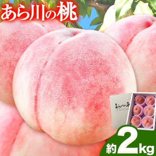 【ふるさと納税】【先行予約】あら川の桃 約2kg 光農園《6月末-8月末頃出荷》和歌山県 紀の川市 桃 もも モモ 日川白鳳 八幡白鳳 白鳳 なつおとめ 川中島白桃 あら川 黄金桃 つきかがみ 幸茜 さくら画像