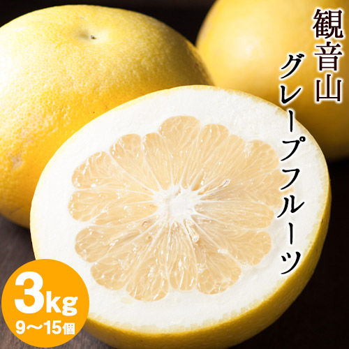 【ふるさと納税】観音山グレープフルーツ 3kg 有限会社柑香園《2027年1月上旬-2月下旬頃出荷》和歌山県 紀の川市 フルーツ 果物 柑橘 グレープフルーツサンタマリア