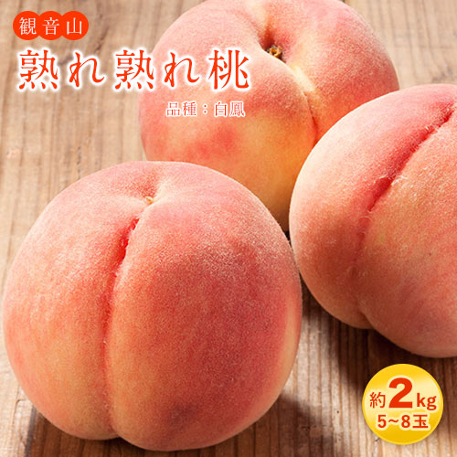 【ふるさと納税】ブランド桃 観音山熟れ熟れ桃（白鳳）2kg 有限会社柑香園《2025年7月中旬-8月中旬頃出荷》和歌山県 紀の川市 フルーツ 果物 桃 白鳳