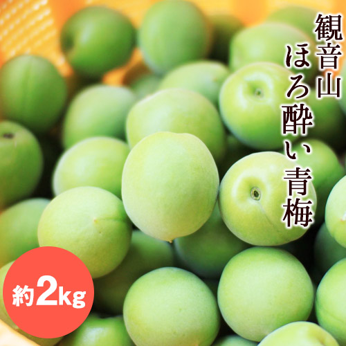 【ふるさと納税】【先行予約】観音山ほろ酔い青梅 2kg 有限会社柑香園 《2025年6月上旬-6月中旬頃出荷》 和歌山県 紀の川市 梅