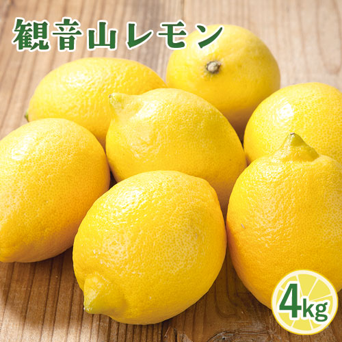 【ふるさと納税】観音山レモン 4kg(30玉-40玉前後) 有限会社柑香園【先行予約】《2025年10月中旬-2026年3月末頃出荷》和歌山県 紀の川市 フルーツ 果物 柑橘 檸檬 レモン