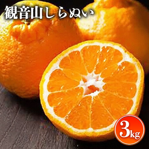 【ふるさと納税】観音山しらぬい 3kg 有限会社柑香園 【日付指定不可】《2025年2月中旬-4月上旬頃出荷》和歌山県 紀の川市 フルーツ 果物 柑橘 しらぬい｜和歌山県紀の川市 13,860円