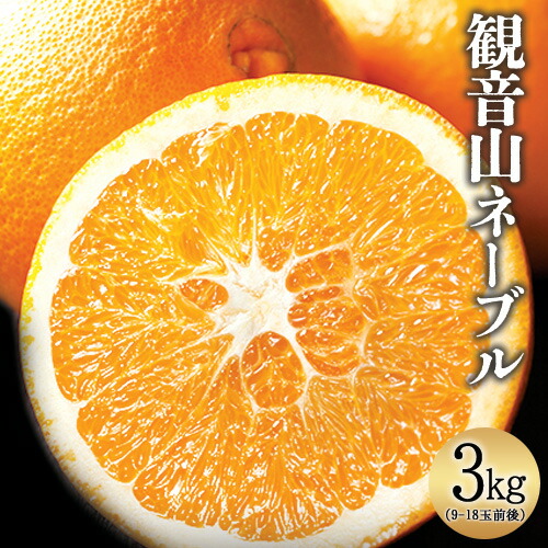 【ふるさと納税】観音山ネーブル 3kg  (約9玉-18玉前後) 有限会社柑香園【先行予約】《2026年2月中旬-3月中旬頃出荷》和歌山県 紀の川市 フルーツ 果物 柑橘 ネーブル