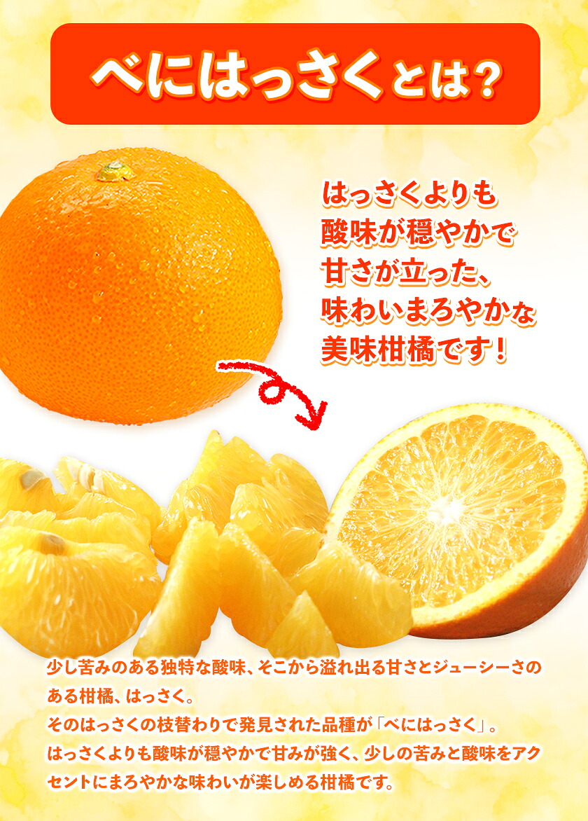 売れ筋介護用品も 紅八朔 ポッポ 10kg 2l L Ja紀の里農業協同組合 23年3月中旬 3月末頃より順次出荷 和歌山県 紀の川市 果物 フルーツ 柑橘 はっさく Poland100bestrestaurants Pl 売れ筋介護用品も 紅八朔 ポッポ 10kg 2l L Ja紀の里農業協同組合 23年3月中旬 3月末頃より順次出荷 和歌山県 紀の川市 果物 フルーツ 柑橘 はっさく Poland100bestrestaurants Pl